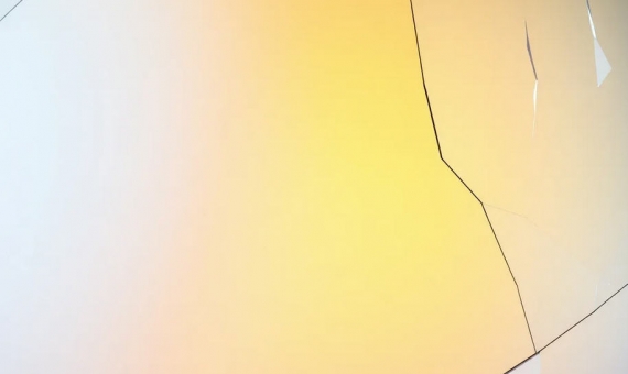 ������������ BIA Technologies: ������� ����������� ������ 1� �� ������������� �����������