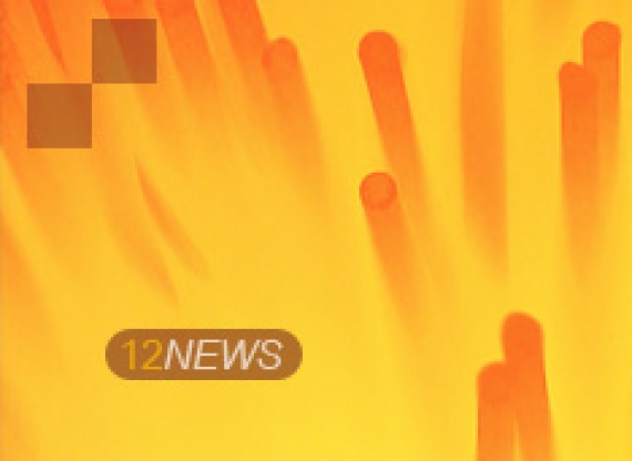 �������� 3� ������������ ���������� ���������� II �������� 2019 ����