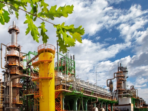 � ����������� ����� �������� ����������� ������� ������� ������������