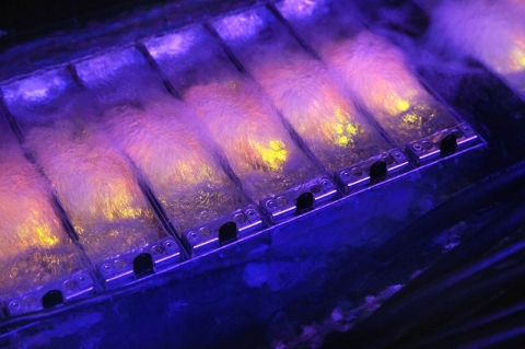 �������-����� ������ ���������