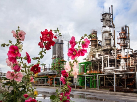 ����������� ������� ������� �������� ��� ��������������� ���� ��� ����