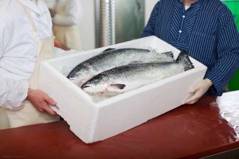 � ���������� ��������� � ������� ��������� ����� ��� ������ ������