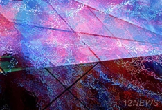 6-� ����������� ����� ������������ ���������� �����������-2016�