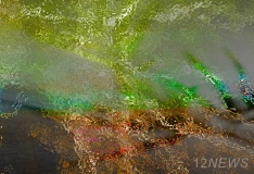 ������-���� ���������� �� �����������