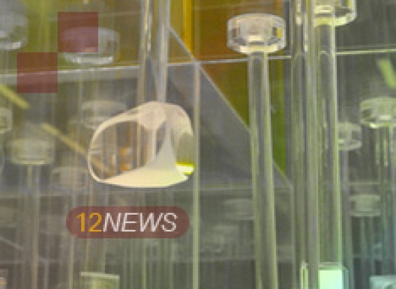 Genesys     Gartner  -