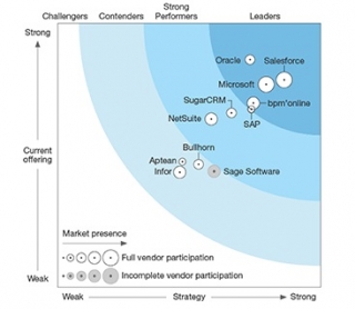 Bpm online       CRM- 