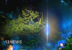 ��� ����������� ������������� �� ���������� BIM-�������