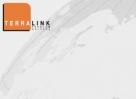 TerraLink �� �����������-�������� DOCFLOW 2007
