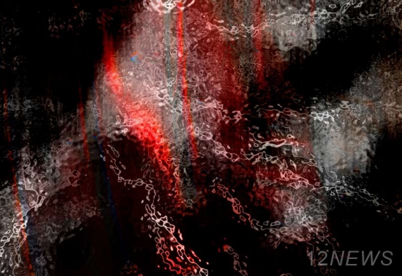 ������������, �����, ��������, ������������������