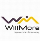    Microsoft Dynamics NAV